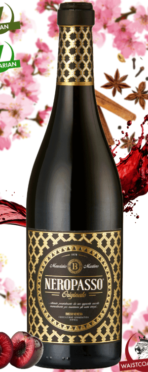 Neropasso, Mabis, Biscardo, IGT Veneto, Italy, 2023
