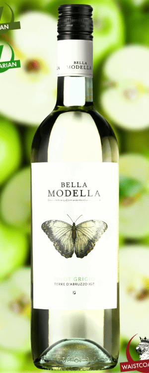 Bella Modella, Pinot Grigio, Terre d'Abruzzo IGT, Abruzzo Italy, 2024