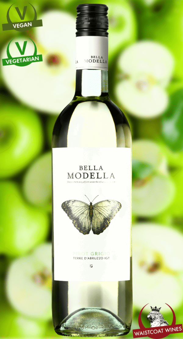 Bella Modella, Pinot Grigio, Terre d'Abruzzo IGT, Abruzzo Italy, 2024
