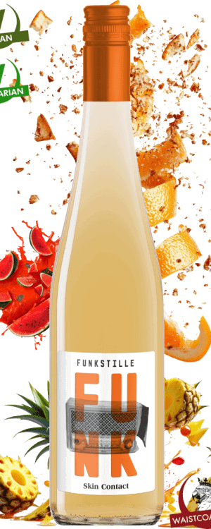 Funkstille, Skin Contact, Niederösterreich, Austria, 2023